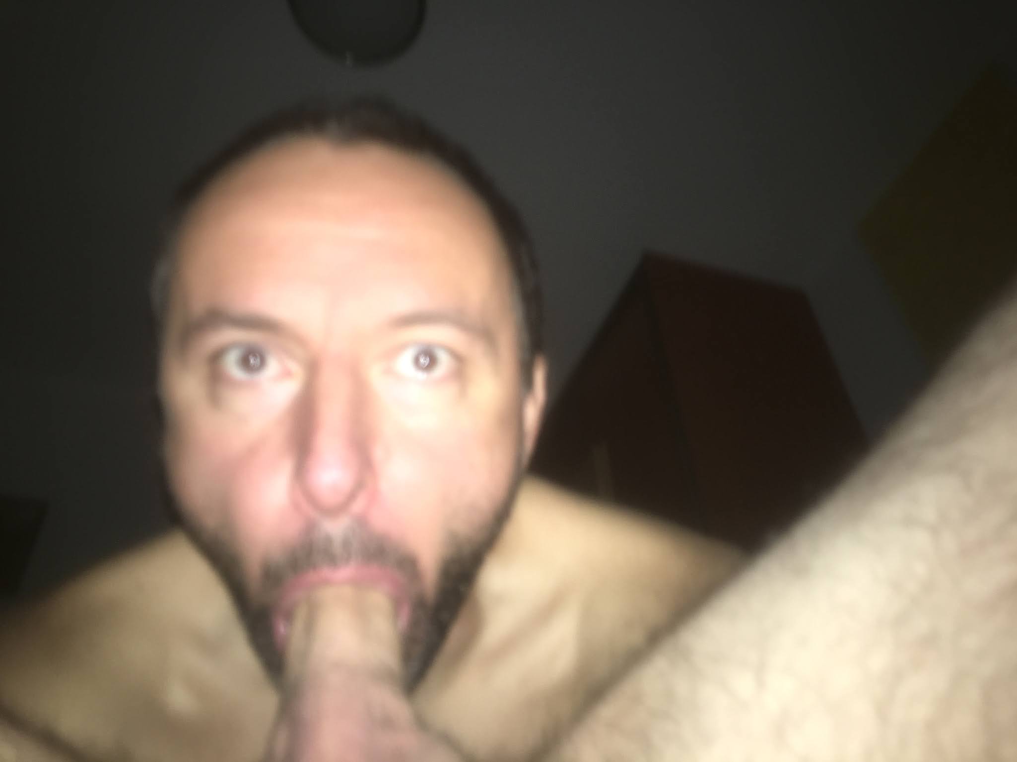 Picture 31